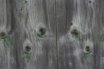 Old gray board texture