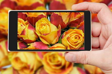 Fototapety na wymiar - Fototapeta24.pl