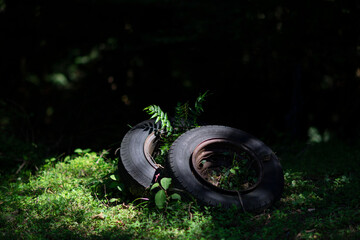 山中に捨てられていた廃タイヤ