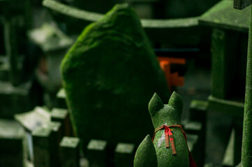 京都 伏見稲荷大社の神秘的な緑の世界