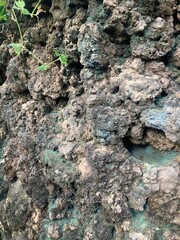 Entrance to a mini cave in the park. Cave entrance The concept of the cave people's habitat. A stone wall with a dark hole, the entrance to the cave. The habitat of wild animals. Close-up