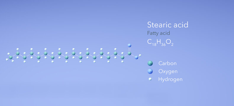 Stearic acid saturated fatty acid molecule - Stock Image - C045/8061 -  Science Photo Library