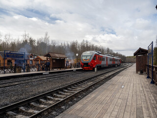 train in the countryside