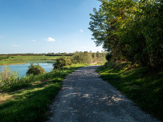 Fototapeta na wymiar sentiero in riva al lago