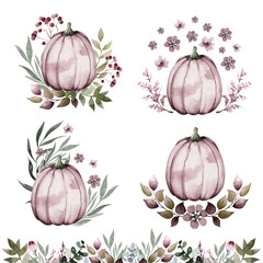 Beautiful set of blush pink watercolor pumpkins in leaves, isolated on white background, botanical illustrations, hand drawing