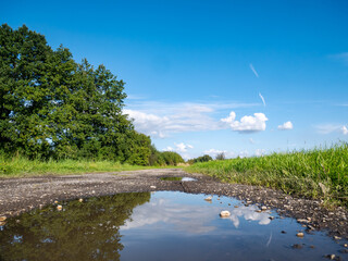 Samotna kałuża na polnej ścieżce gruntowej w zielonym obszarze pozawiejskim biegnąca między polem a laskiem na tle błękitnego lekko zachmurzonego nieba  © FIOMI