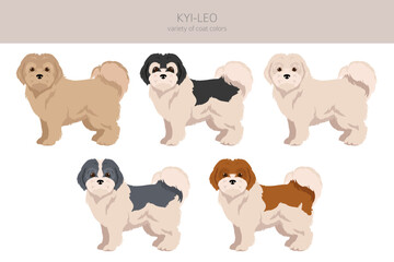 Kyi-Leo dog clipart. Different coat colors set