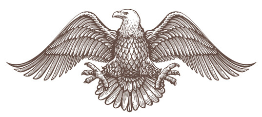 Bald Eagle with spread wings emblem. Royal symbol. Vector illustration. Hand drawn sketch in vintage engraving style © ~ Bitter ~