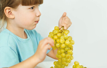 Cute little girl eating green grapes sitting at a table on a white background.A lovely four-year-old girl in a blue T-shirt holds a bunch of yellow grapes in her hands.A Child Eats Grapes From A Bowl