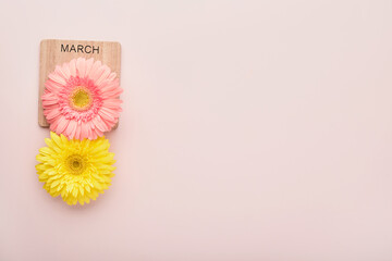 8 March. International Womens Day. Two gerberas pink and yellow, pink envelope on pink background. Copy space. Mock up. Flower concept. Design pattern. 8 march holiday.