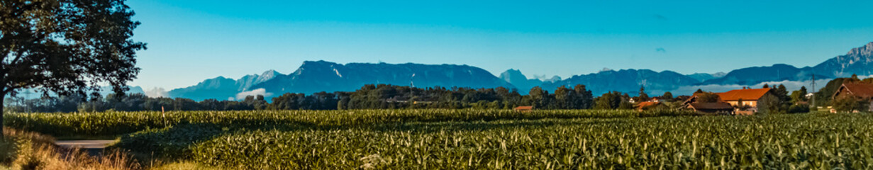 Beautiful summer morning view with the alps in the background near Freilassing, Bavaria, Germany