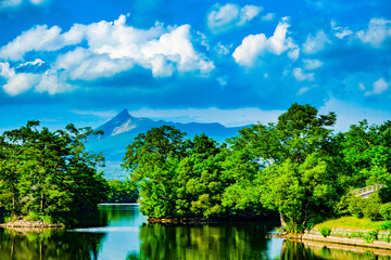 Obraz premium 大沼国定公園の夏