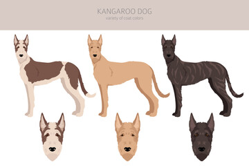 Kangaroo dog clipart. Different coat colors set