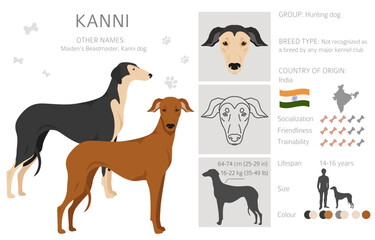 Indian Kanni dog clipart. Different coat colors set