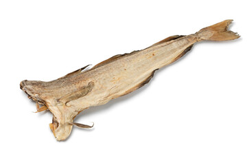 Single stockfish,  Atlantic cod, close up isolated  on white background 