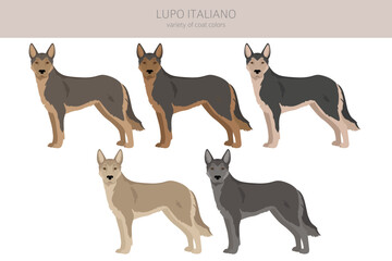 Lupo Italiano clipart. Different coat colors set