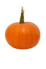 Orange pumpkin isolated on white background. Fresh of pumpkins.
