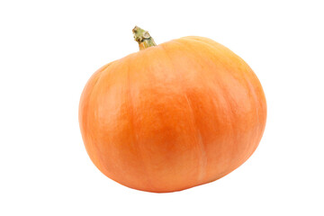 Single fresh orange miniature pumpkin isolated on white background.