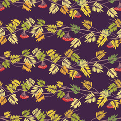 Seamless pattern of rowan tree branches with autumn leaves and ripe berries