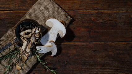Dark food photography background - Forest mushrooms / Boletus edulis (king bolete) / penny bun /...