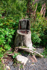 A natural chair from a tree stump in the High Tatras in Slovakia