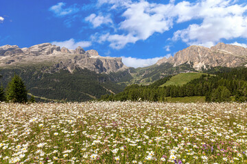 Dolomiti Alps in Alta Badia landscape view