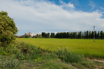 Fototapeta na wymiar Certosa di Pavia e campo coltivato