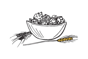 Illustration of hops.