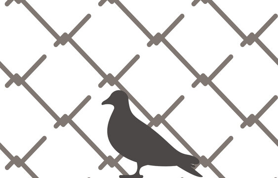 Silhouette of pigeon in front of iron bars, prison bars isolated on white background, illustration