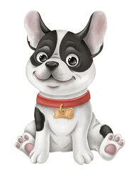 Black and white french bulldog