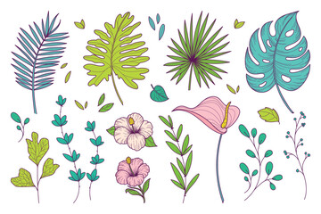Tropical collection with exotic flowers and leaves. Vector hand drawn illustrations isolated on white background