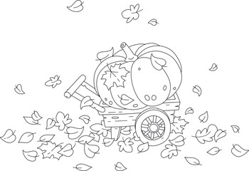 Large round pumpkin on an old wood wheelbarrow among fallen autumn leaves in a vegetable garden, black and white outline vector cartoon for a coloring book page
