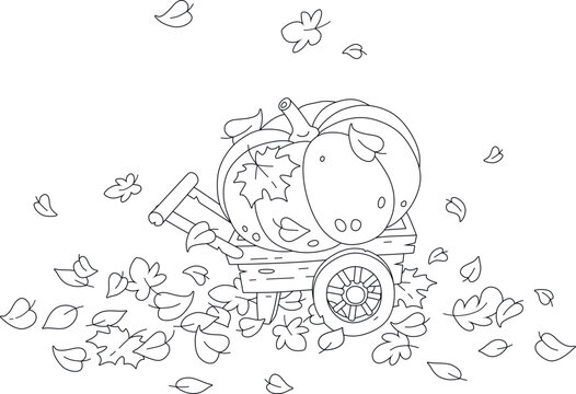 recommend clip art: Large round pumpkin on an old wood wheelbarrow among fallen autumn leaves in a vegetable garden, black and white outline vector cartoon for a coloring book page