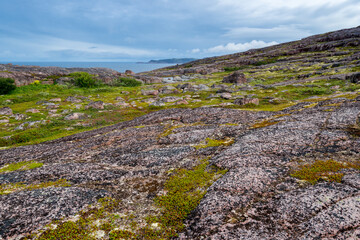 Summer landscape of green polar tundra with boulders in the foreground. Northern nature in the vicinity of Teriberka (Kola Peninsula, Russia)