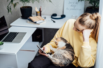 Woman freelance or procrastinate at workplace at home office. Self-employed businesswoman with cat distracted from work on laptop scrolling social media on smartphone. - obrazy, fototapety, plakaty