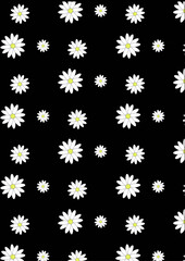 Fondo negro con margaritas.