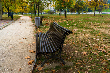 Autumn scenery with alley of fall leaves