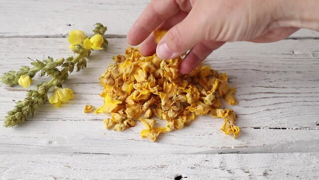Herbal medicine tea powder made of Verbascum thapsus, the great mullein, greater mullein or common mullein. Yellow dried flower petals on wood.