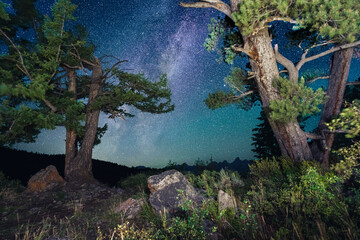 Milky Way and stars shine at night between trees near Grand Teton National Park