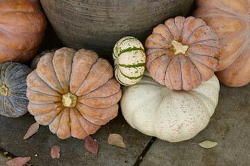 arrangement of pumpkins, squash and gourds for the Fall