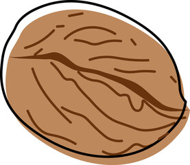 Walnut, Juglans regia, delicious, organic