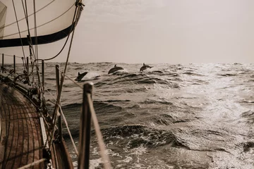 Wandaufkleber sailing boat on the sea with dolphins © Jonas