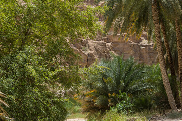 Oman Wadi al_Shab
