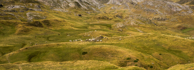 Landscape at Pyrenees, France