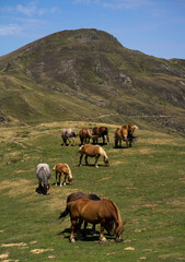 Landscape at Pyrenees, France