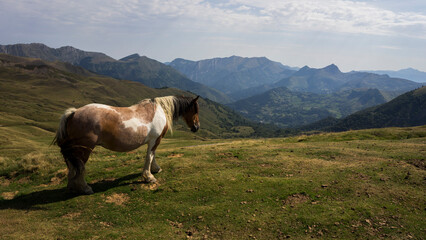 Fototapeta na wymiar Landscape at Pyrenees, France