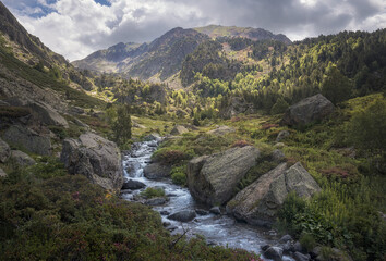 Fototapeta na wymiar Creek at Incles Valley in Andorra