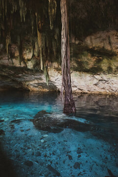 Vertical. Paisaje Cenote cerrado. Estalactitas y ra&iacute;ces alcanzando el agua. Yucat&aacute;n, M&eacute;xico. 