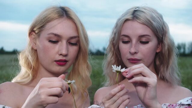 Two young blonde women tear off daisy petals standing in a green field