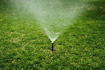 Automatic sprinkler system spread water spray in garden on lawn